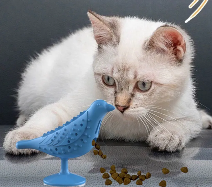 [TT-273] PROMOCION PALOMA INTERACTIVA CON CATNIP