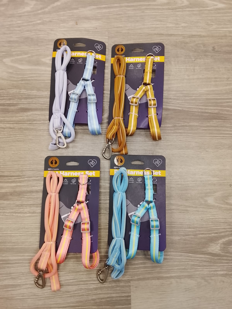 [C-011] ARNES COTTON + LAZO (S)