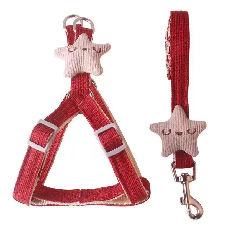[P-025] ARNES + LAZO STAR (S)