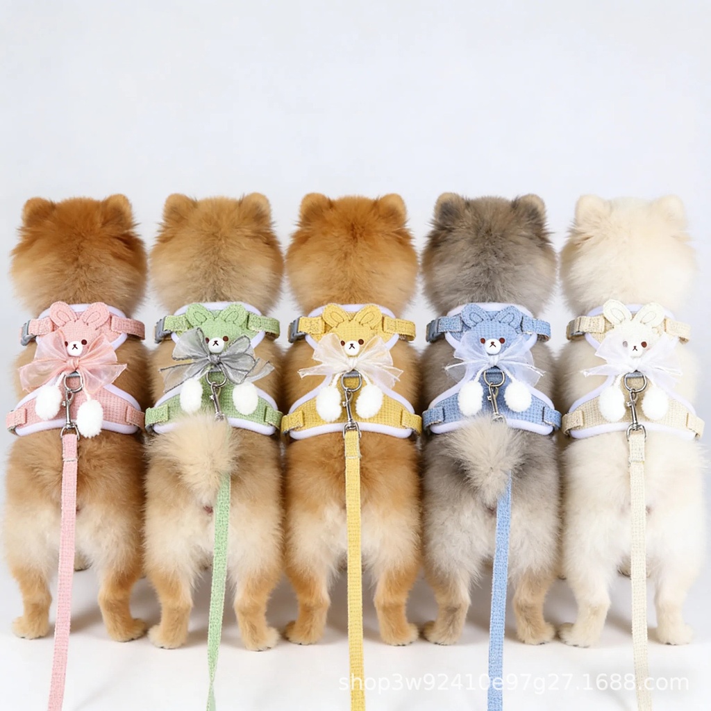 [P-261] ARNES VESTIDO BEAR + CORREA (S)