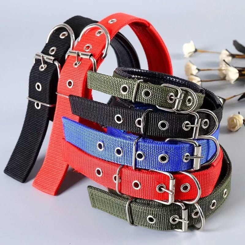 [TT-517] COLLAR REATA MILITARY (S)